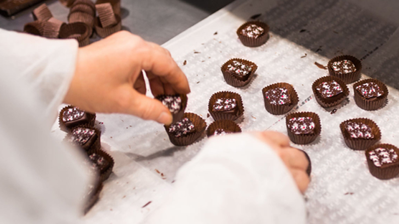 Chocolate Techniques Workshop